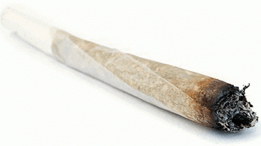 cannabis joint